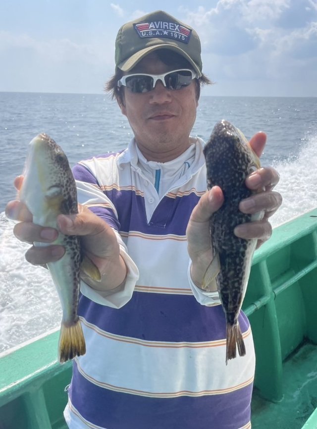 ショウサイフグ