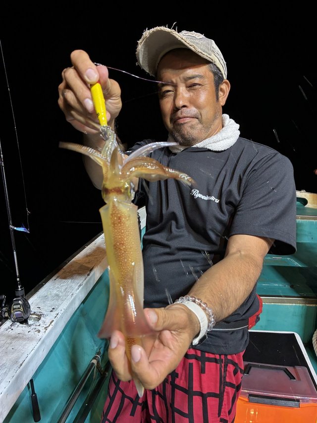 アカイカ(ケンサキイカ)