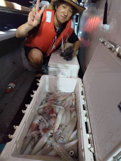 イカ(ヤリイカ)