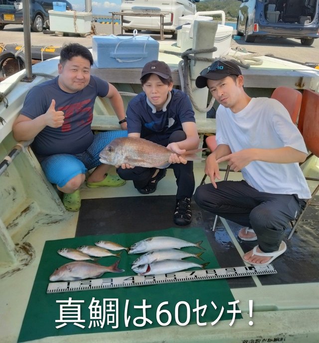 マダイ・マアジ・マサバ