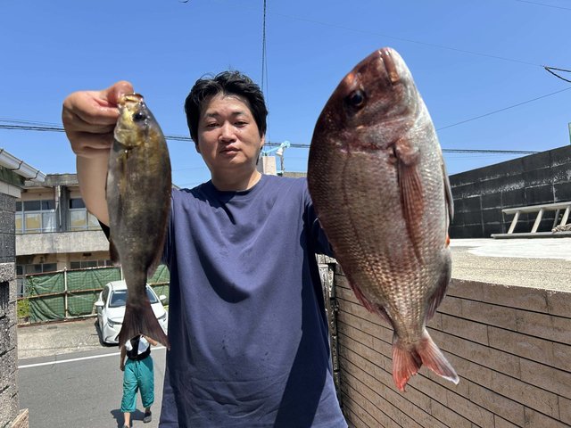 マダイ・イサキ