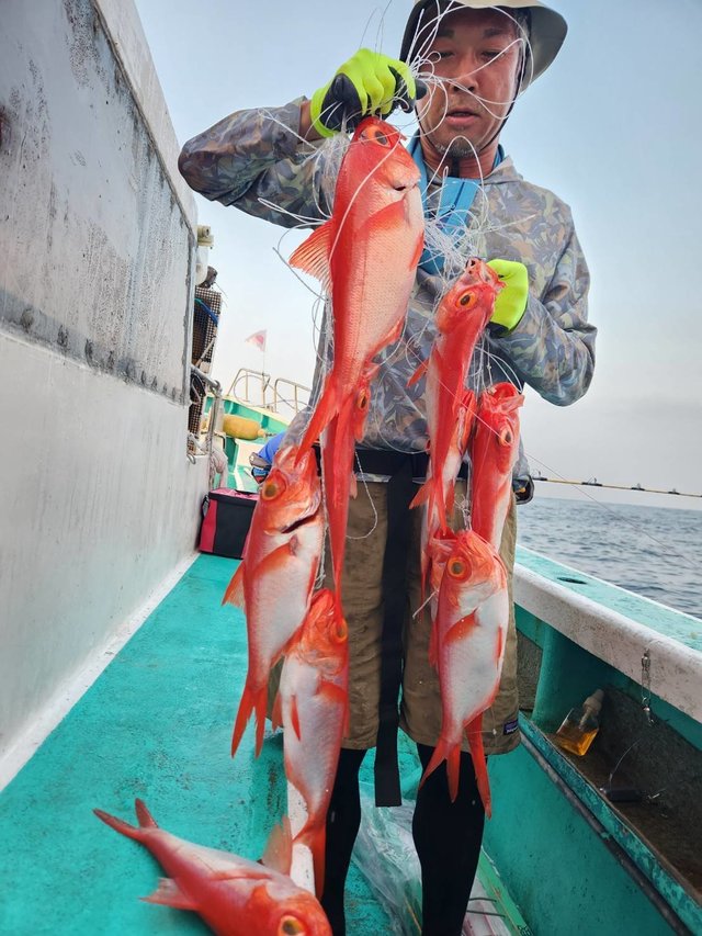 キンメ(キンメダイ)