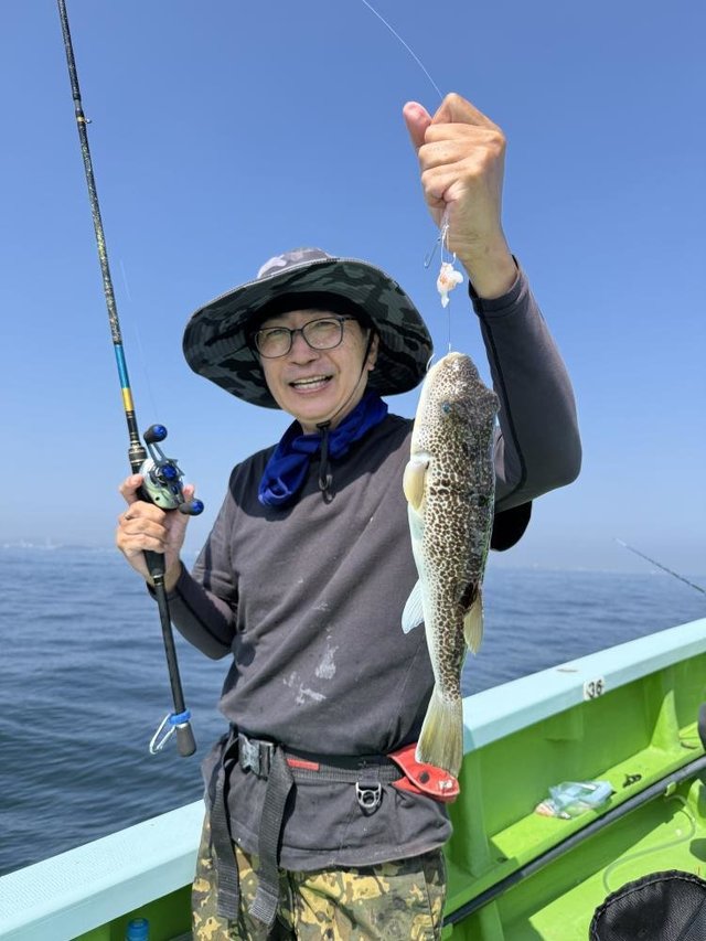 フグ(ショウサイフグ)