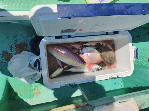 マダイ・イトヨリ(イトヨリダイ)・カワハギ・サバ(ゴマサバ)