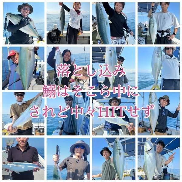 ブリ・メジロ(ブリ)