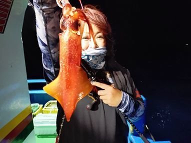 イカ(ケンサキイカ)