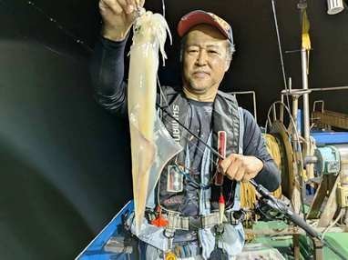 イカ(ケンサキイカ)