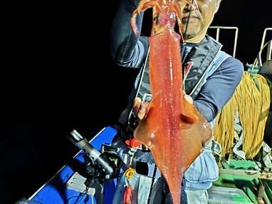 イカ(ケンサキイカ)