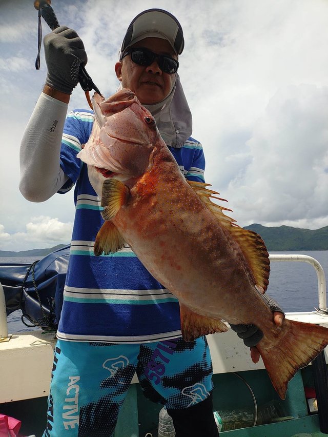 アカジン(スジアラ)