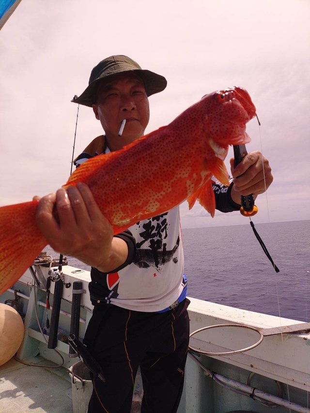 アカジン(スジアラ)