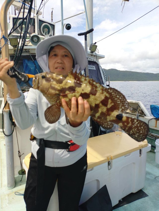 ミーバイ(クエ)