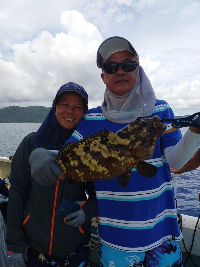 ミーバイ(クエ)