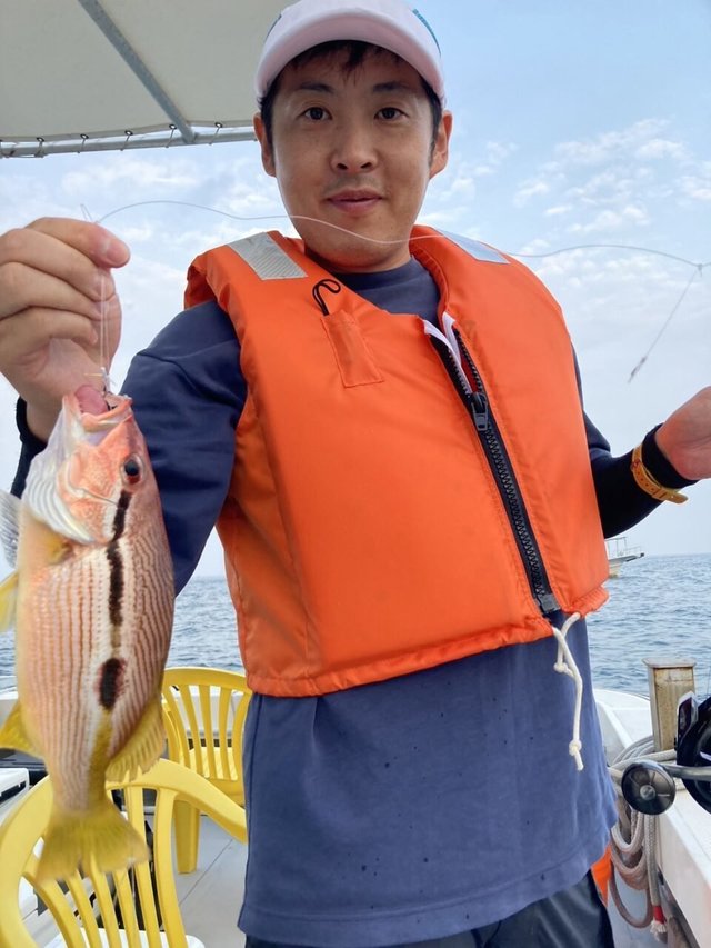 ヨコスジフエダイ