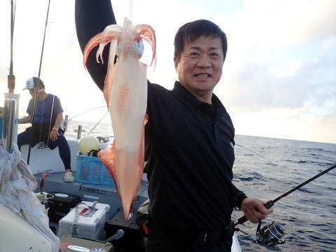 シロイカ(ケンサキイカ)