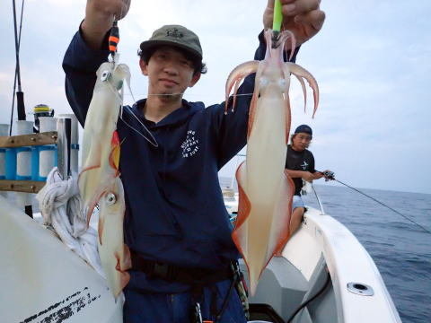 シロイカ(ケンサキイカ)