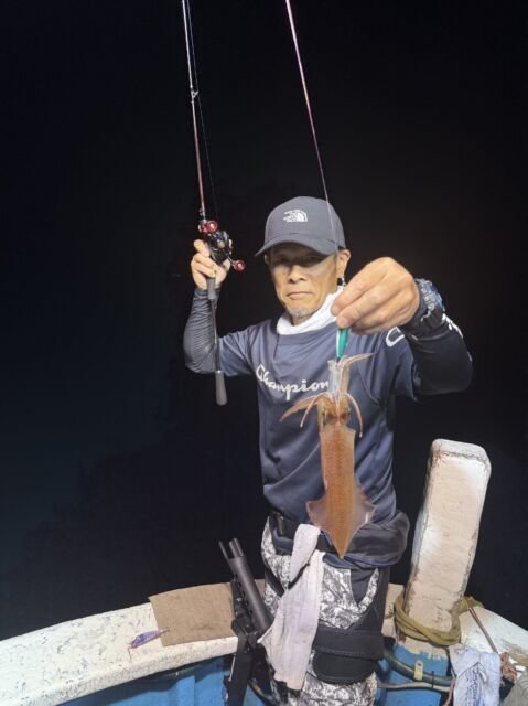 マイカ(ケンサキイカ)