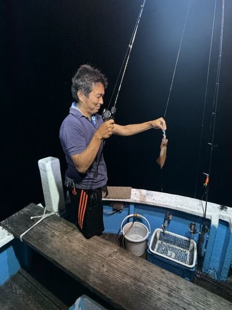 マイカ(ケンサキイカ)