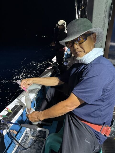 マイカ(ケンサキイカ)