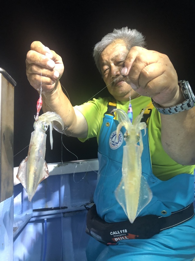 マルイカ(ケンサキイカ)