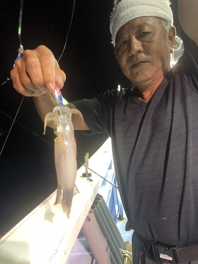 マルイカ(ケンサキイカ)