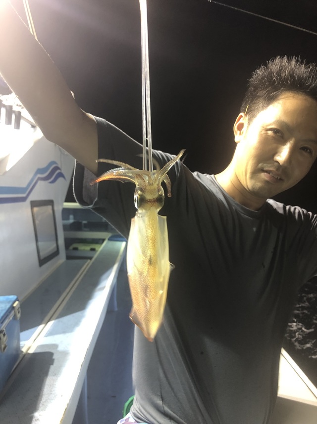 マルイカ(ケンサキイカ)