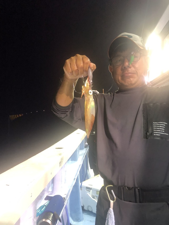 マルイカ(ケンサキイカ)