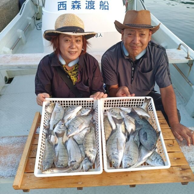 チヌ(クロダイ)