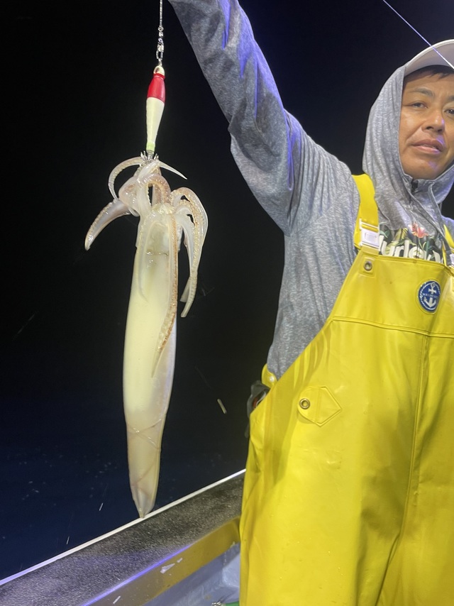 マルイカ(ケンサキイカ)