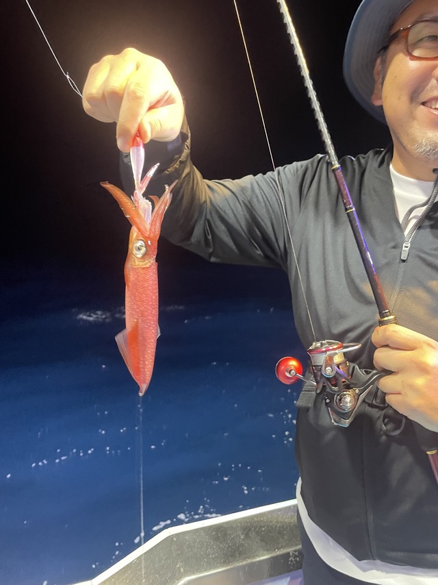 マルイカ(ケンサキイカ)