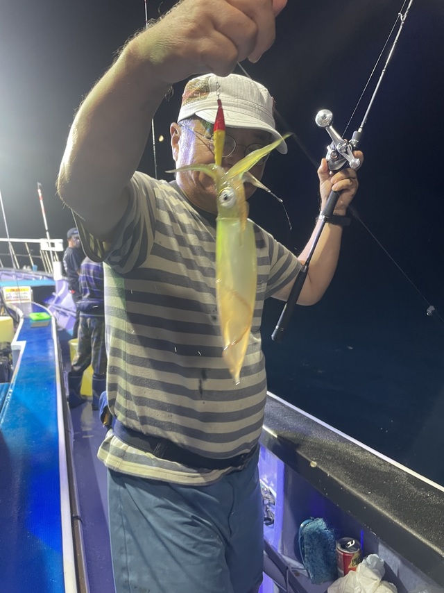 マルイカ(ケンサキイカ)