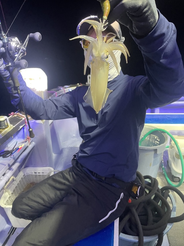 マルイカ(ケンサキイカ)