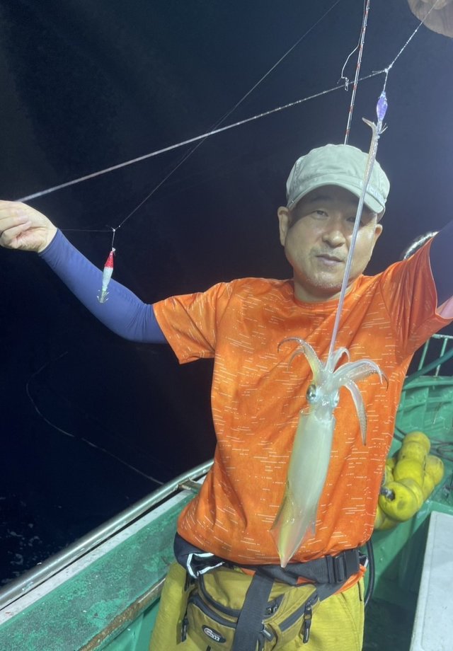 マルイカ(ケンサキイカ)