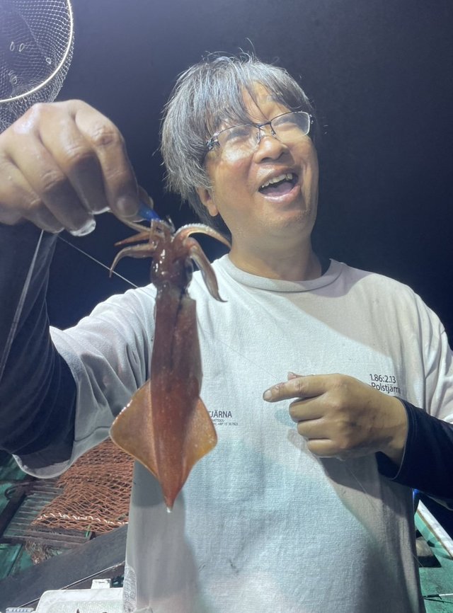 マルイカ(ケンサキイカ)