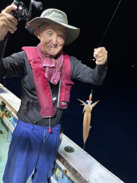 マイカ(ケンサキイカ)