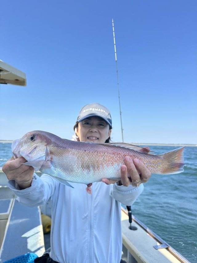 アマダイ(アカアマダイ)