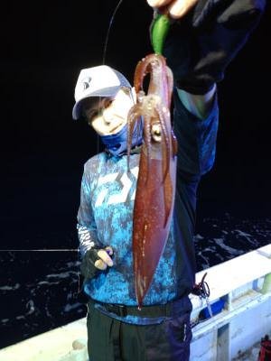 マイカ(ケンサキイカ)