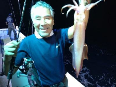 マイカ(ケンサキイカ)