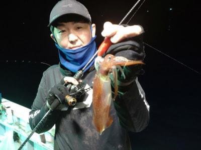 マイカ(ケンサキイカ)