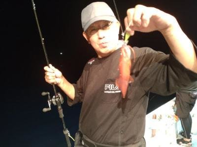 マイカ(ケンサキイカ)