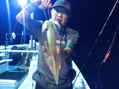 マイカ(ケンサキイカ)