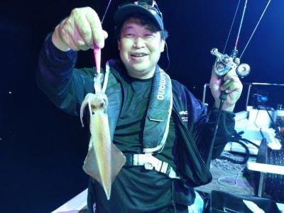 マイカ(ケンサキイカ)