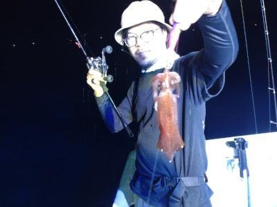 マイカ(ケンサキイカ)