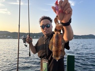 アオリ(アオリイカ)