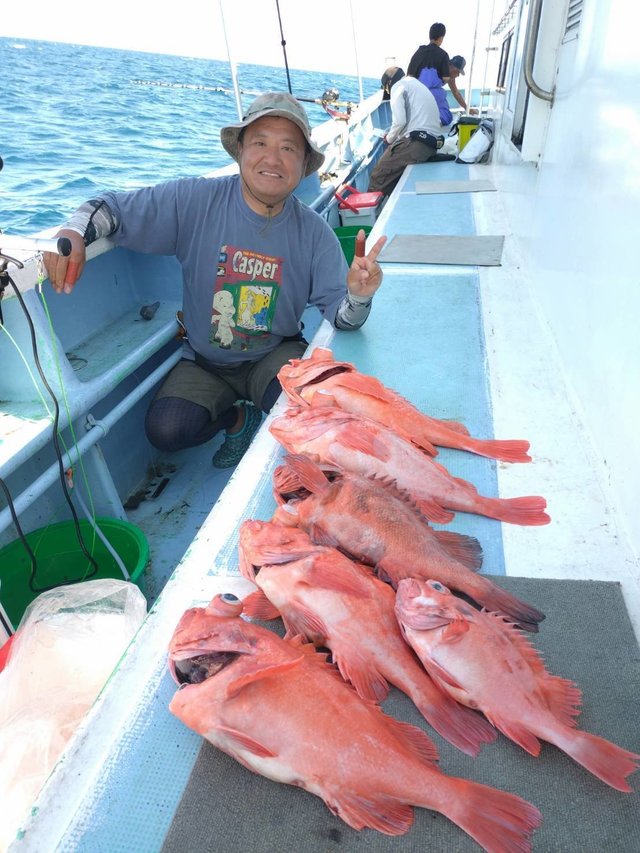 メヌケ(アコウダイ)