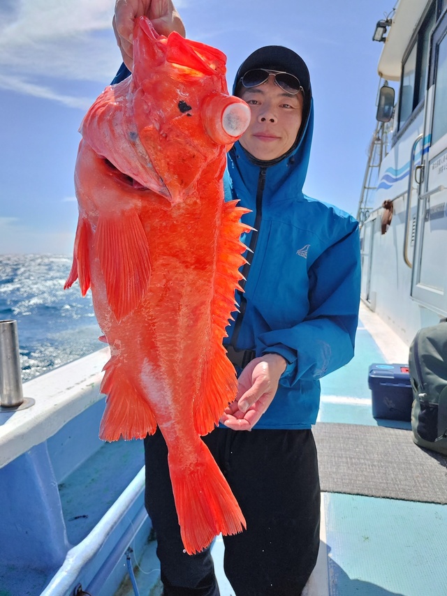 メヌケ(アコウダイ)