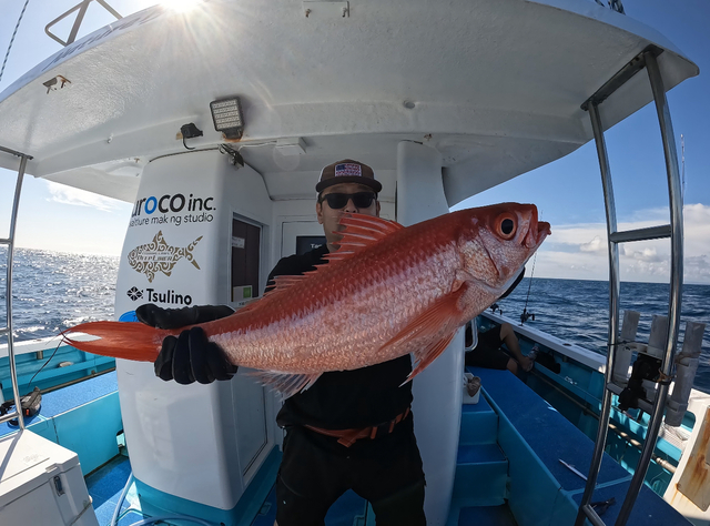 オナガ(ハマダイ)