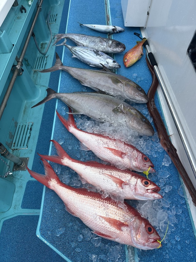 カンパチ・オナガ(ハマダイ)