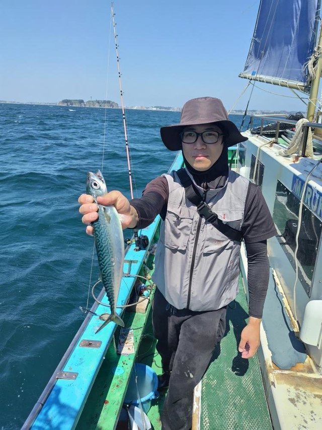 サバ(ゴマサバ)