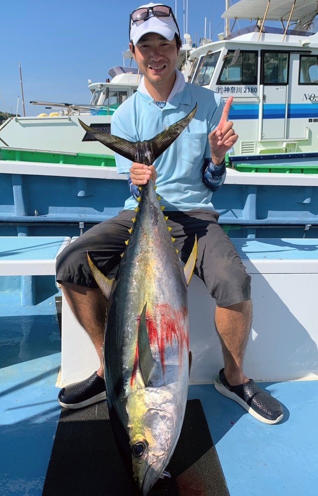 キハダマグロ(キハダ)