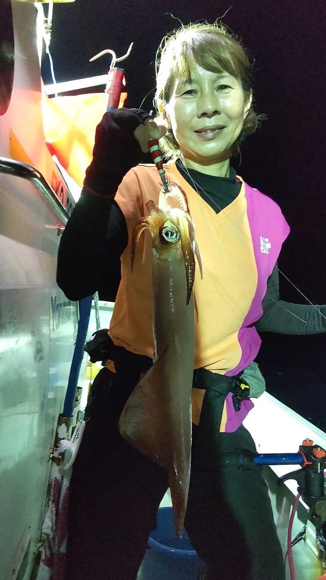 マイカ(ケンサキイカ)